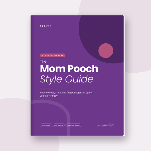 The Mom Pooch Style Guide e-book cover